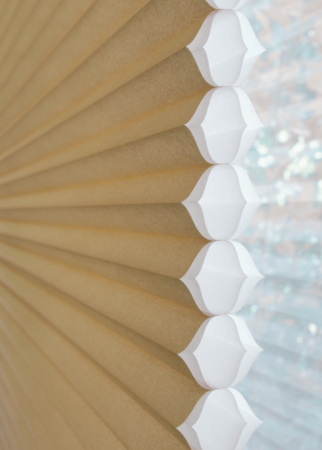 Blinds Duette Architella Shades Products , Steenberg